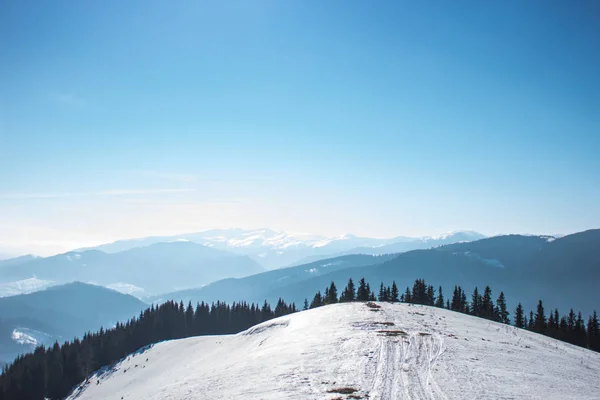 Karla kaplı dağlar ve tepeler. Ukrayna'da dağlar Karpatlar. Kış dağ manzarası. Dağ Bukovel. Panorama dağın tepesinden. Freeride kayak pisti. Kayak ve snowboard.