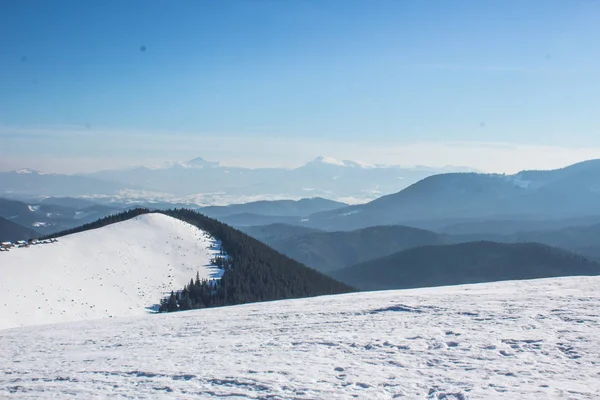 Snow-capped mountains and hills. Mountains Carpathians in Ukraine. Winter mountain landscape. Mountain Bukovel. Panorama from the top of the mountain. Freeride ski slope.Skiing and snowboarding.