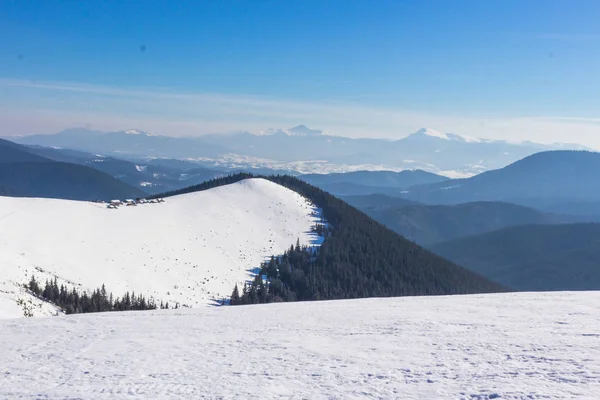 Snow-capped mountains and hills. Mountains Carpathians in Ukraine. Winter mountain landscape. Mountain Bukovel. Panorama from the top of the mountain. Freeride ski slope.Skiing and snowboarding.