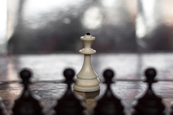 Шахматная Доска Вечеринка Метафора Одиночества Изоляции Противостояния Один Против Королева — стоковое фото