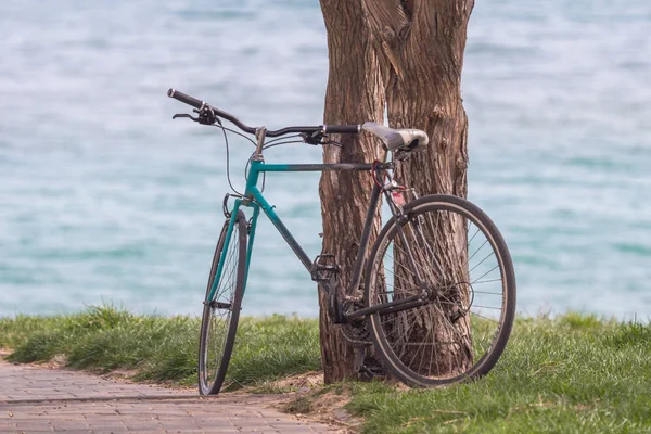 A walk on the bike. Old bicycle by the sea near the tree. Halt during a hike. Two-wheeled friend. Summer transport. Vehicle in the city and in nature. Weekend cycling trip alone.