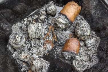 Pahalı Küba purosu. Kül tepsisinde sigara izmaritleri. Erkek tutkusu. Smoker öksürüğü. Kötü alışkanlık. Doğru büküm tütün levhalar. İyi tütün. Puro içeceğim. Akciğer kanseri. Ash yakın yukarı.