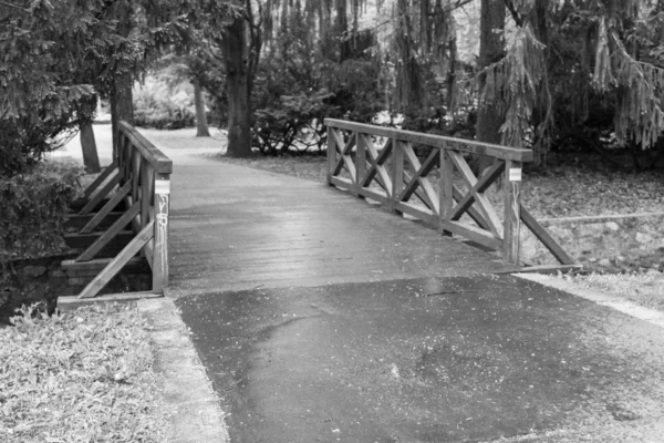 Ponte Madeira Fluxo Parque Perspectiva Arquitetura Ponte Com Perilamicherez Laranja — Fotografia de Stock