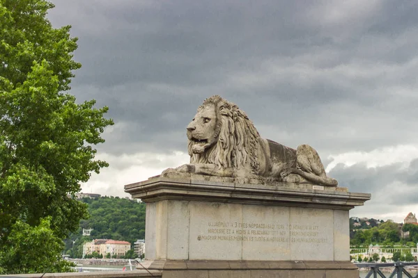 Lion statue. Stone monument. Monument near the castle. Medieval architecture. Historical heritage. Lions of Budapest. Travel to Hungary. European monuments to animals. Muzzle of a lion.