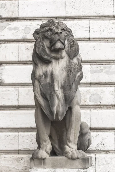Lion statue. Stone monument. Monument near the castle. Medieval architecture. Historical heritage. Lions of Budapest. Travel to Hungary. European monuments to animals. Muzzle of a lion.