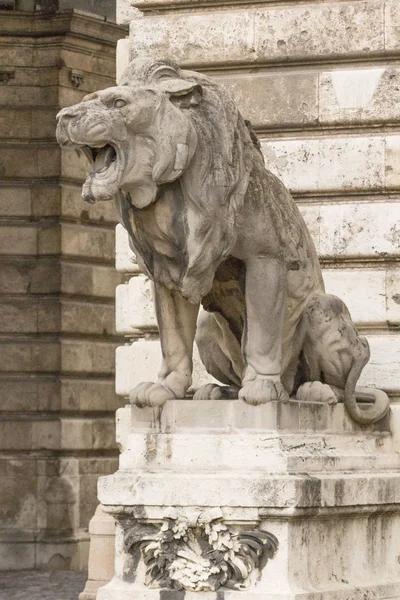 Lion statue. Stone monument. Monument near the castle. Medieval architecture. Historical heritage. Lions of Budapest. Travel to Hungary. European monuments to animals. Muzzle of a lion.