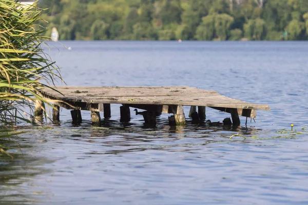 Puente Madera Muelle Orilla Lago Paisaje Fluvial Vida Silvestre Verano — Foto de Stock