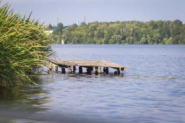 Ponte Madeira Cais Costa Lago Paisagem Fluvial Vida Selvagem Verão — Fotografia de Stock