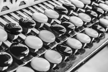 Rus müzik aleti. Düğme akordeonundaki siyah beyaz düğmeler. Kromatik el mızıkası. Halk enstrümanı. Hayatın siyah ve beyaz çizgileri. Düğmeler yakın plan. Müzik Oluştur.