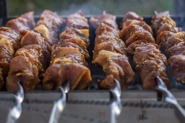 Shish Kebab Skewers Fry Meat Coals Picnic Food Grilled Cue — Stock Photo, Image