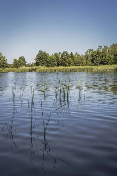 Paisagem Verão Bela Natureza Ucrânia Silêncio Vida Suburbana Pitoresca Margem — Fotografia de Stock