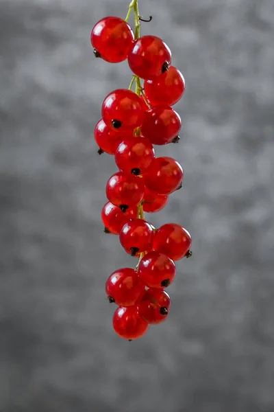 Products Bright Colors Juicy Red Berries Summer Vitamins Foods Rich — Stock Photo, Image