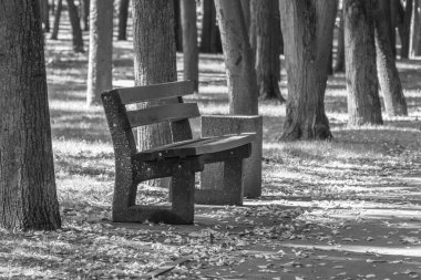 Boş bank. Şehir Parkı. Burada kimse yok. Aşkın sonu. Beklenti metaforu. Açık hava koltuğu. Issız bir hayat. Tarih sembolü. Metropolis 'te yalnızlık. Ağaçların arasında sıraya girin. Issız bir sokak..