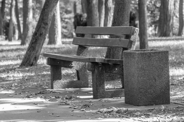 Пустая Скамейка Сити Парк Никого Конец Любви Метафора Ожиданий Открытом — стоковое фото