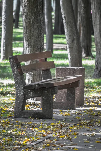 Een Lege Bank Stadspark Niemand Hier Einde Van Liefde Verwachte — Stockfoto