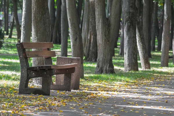 Boş Bank Şehir Parkı Burada Kimse Yok Aşkın Sonu Beklenti — Stok fotoğraf