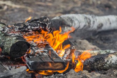 Ormanda şenlik ateşi. Sıçrama ekranında alevler var. Yanan odunlardan gelen ısı. Ateş riski var. Ateşin tehlikesi. Parlak alev. Ateşi yay. Tahtayı ateşe verin. Ateşli arkaplan.