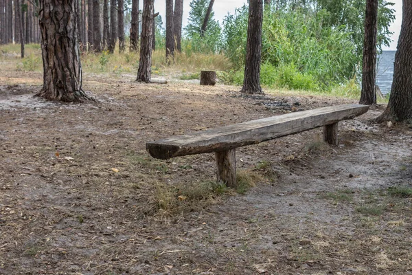 Beschaafde Openlucht Recreatie Een Bankje Een Dennenbos Picknick Het Bos — Stockfoto