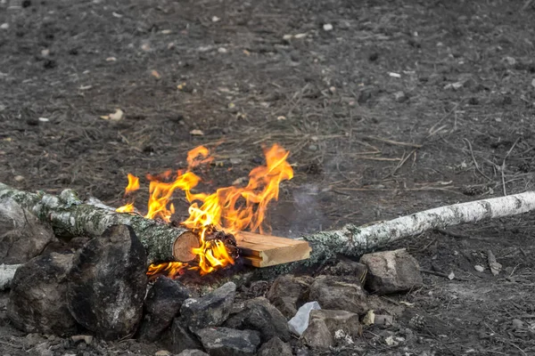 Bonfire in the forest. Flames on the splash screen. Heat from burning logs. Risk of fire. Danger from fire. Bright flame. Spread the fire. Set fire to wood. Fiery background.