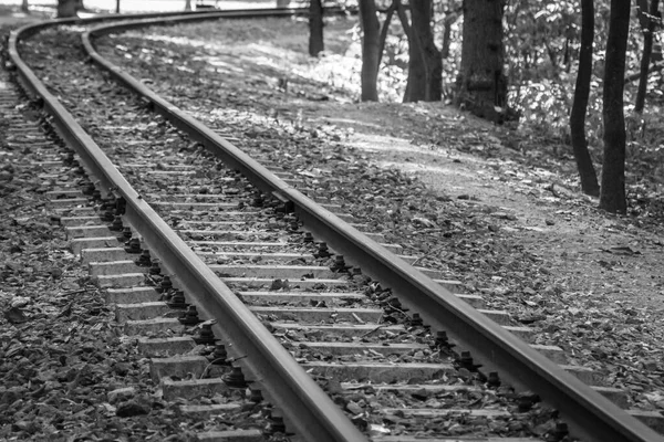 Spoorweg Het Bos Parallelle Lijnen Perspectief Het Voorbeeld Van Rails — Stockfoto