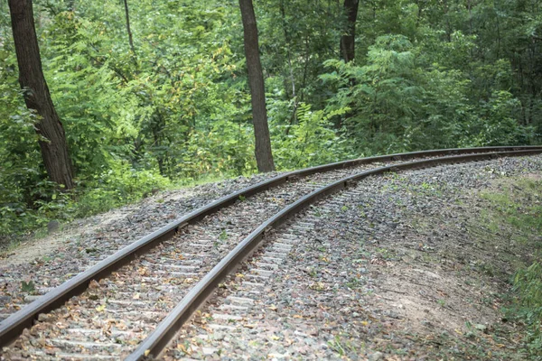 Railroad Forest Parallel Lines Perspective Example Railway Rails Move Forward — Stock Photo, Image