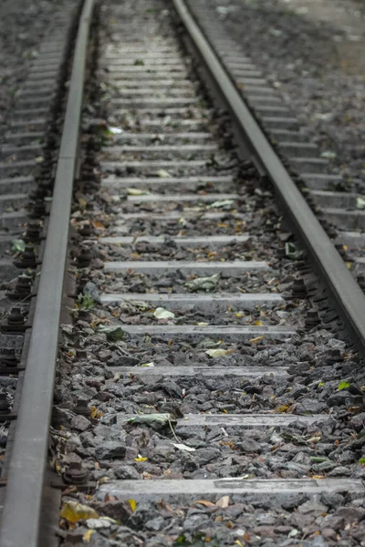 Spoorweg Het Bos Parallelle Lijnen Perspectief Het Voorbeeld Van Rails — Stockfoto