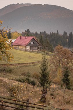 Ukrayna 'daki Karpat Dağları' nda sonbahar kırsalları. Ukrayna 'da turizm. Sonbahar köyü. Ekim havası. Sonbaharda seyahat etmek için. Şehir tatili. Renkli orman. Sıcak renkler. Sarı-sıcak manzara. Ukraynalı Karpatlar. Kırsal yaşam. 