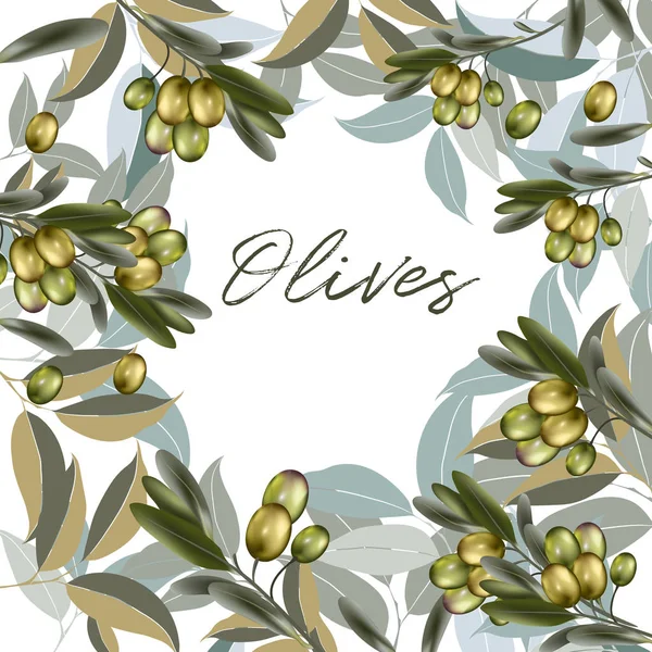Illustration Florale Vectorielle Nette Avec Olivier Feuilles Vertes — Image vectorielle