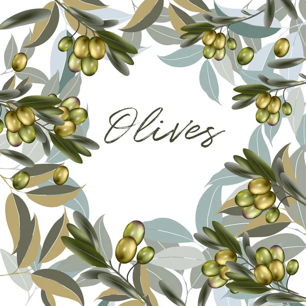 Ilustração Limpa Vetor Floral Com Oliveira Folhas Verdes —  Vetores de Stock