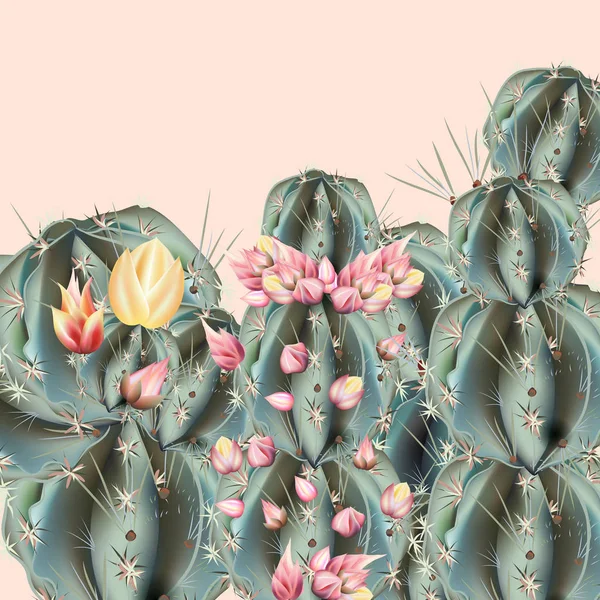 Illustration Vectorielle Mode Avec Plantes Cactus — Image vectorielle