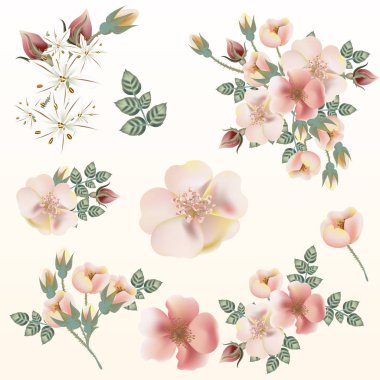 Büyük vektör pembe pastel yaban gülü için Kaydet tarihi kartları, davetiyeler, desenleri kümesi