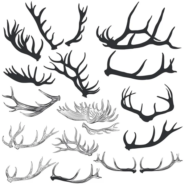 Big Collection Vector Deer Horns Design — Stock Vector