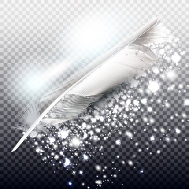 Gerçekçi tüy ile vektör gümüş glitter parçacıklar arka plan