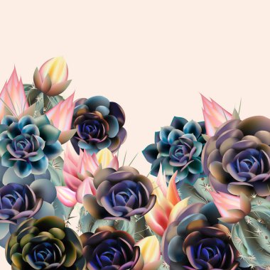 Moda vektör çizim succulents ve kaktüs bitkileri