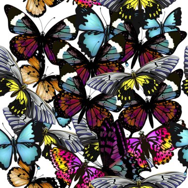 Güzel vektör desen renkli kelebekler ile üzerine beyaz moda