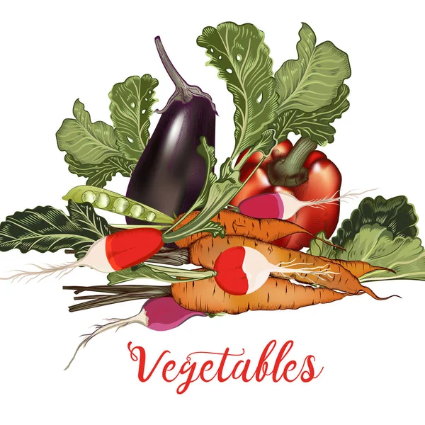Illustrazione Stile Vettoriale Vintage Con Verdure Melanzane Ravanello Carota — Vettoriale Stock