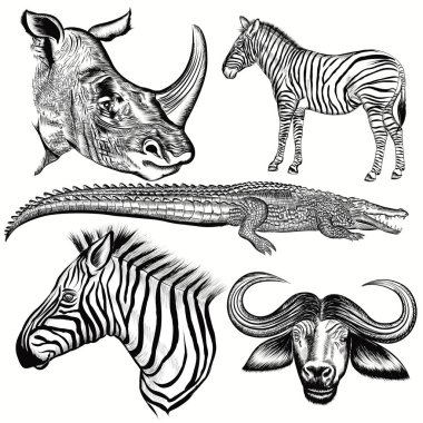 Vektör kümesi el çekilmiş Afrika hayvanları