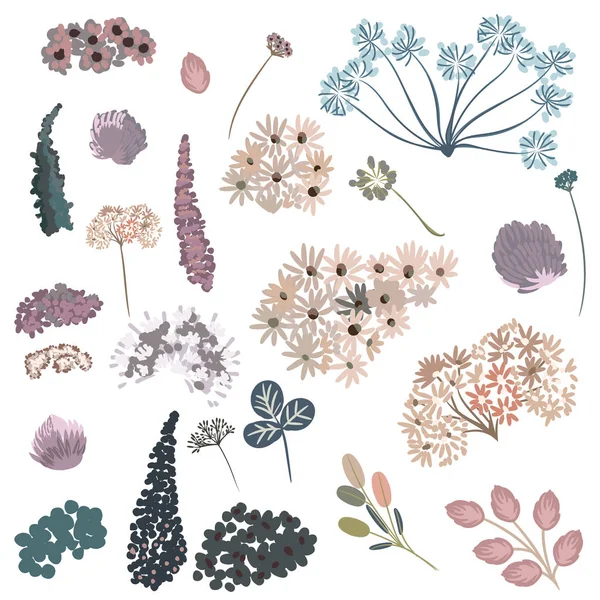 Collection Vector Watercolor Flowers Design — Stock Vector