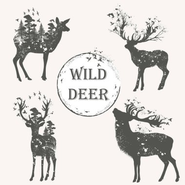 Orman hayvan yüksek detaylı siluetleri zarif vektör toplama