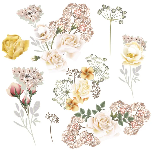 Colección Flores Rosas Vector Para Diseño Boda — Archivo Imágenes Vectoriales