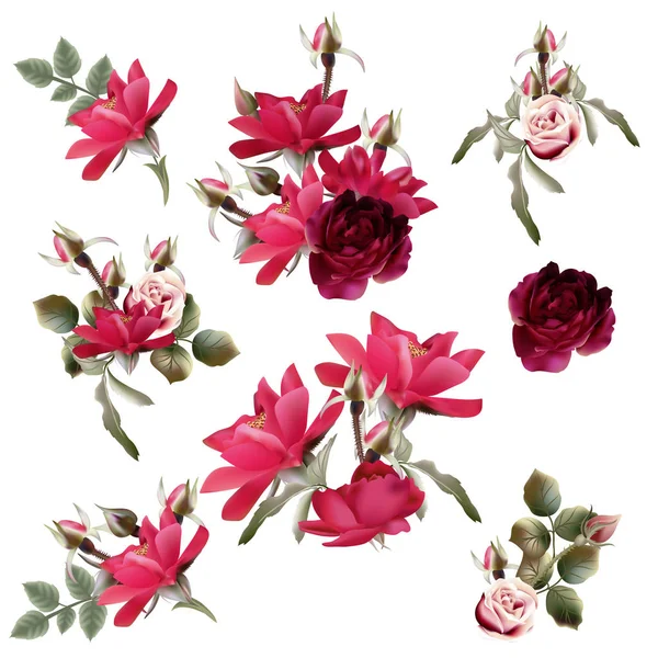 Μεγάλη Συλλογή Διάνυσμα Κόκκινο Ροζ Τριαντάφυλλο Λουλούδια Για Σχεδιασμό — Διανυσματικό Αρχείο