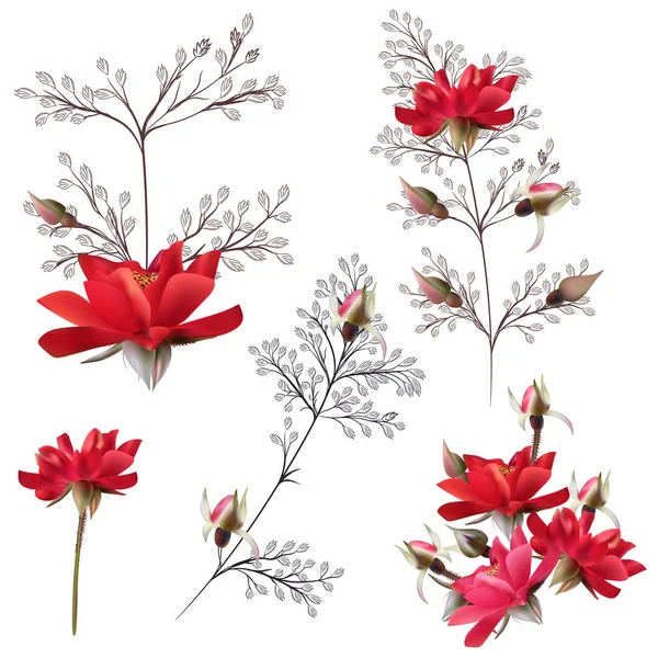Coleção Flores Vetor Rosa Cores Vermelhas Rosa Para Design — Vetor de Stock