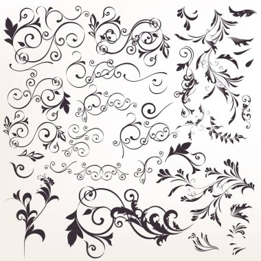 Vektör kaligrafi büyük toplama için tasarımı flourishes