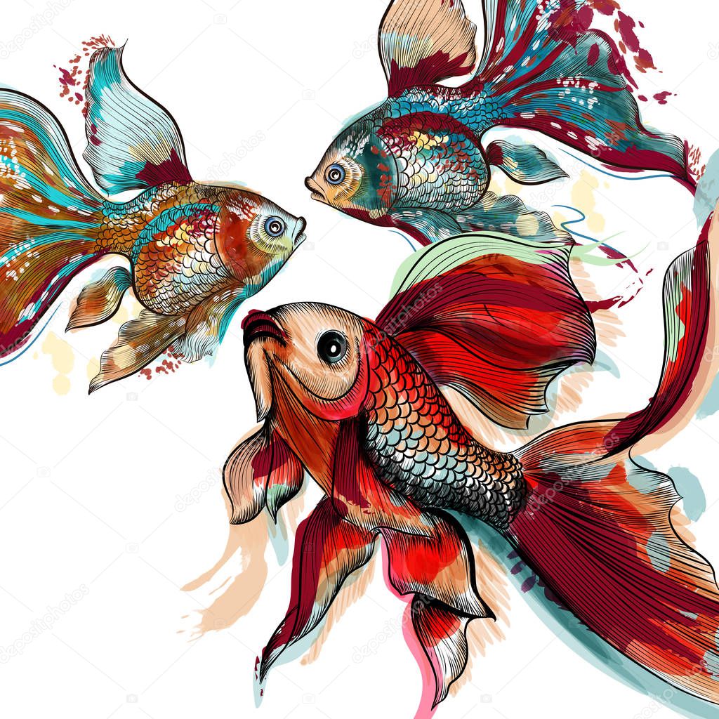 Beautiful vector hand drawn goldfishes in  watercolor style