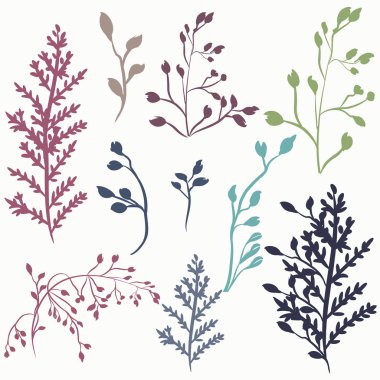 Vektör rustik bitkiler için tasarım kümesi