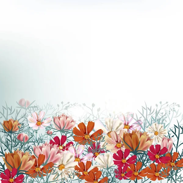 Όμορφη Floral Απεικόνιση Cosmos Πεδίο Λουλούδια — Διανυσματικό Αρχείο