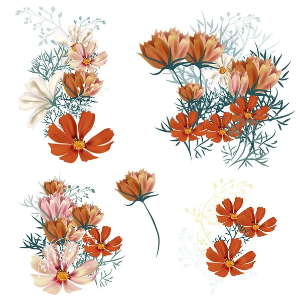 デザインのベクトル現実的な春のコスモスの花のセット — ストックベクタ