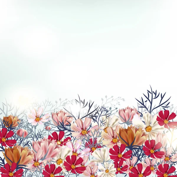 Vacker Illustration Med Kosmos Fältet Blommor Trädgård Scen Royaltyfria Stockvektorer
