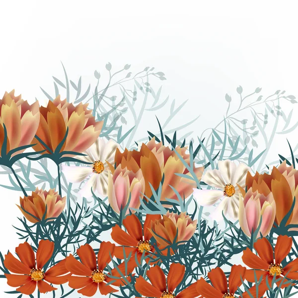 Kosmos Wiosna Kwiaty Wektor Dla Projektu Ilustracje Stockowe bez tantiem
