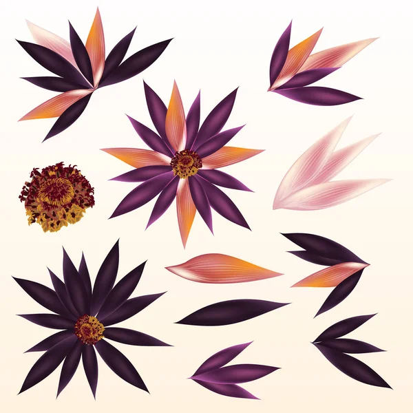 Sada Vektorové Tropických Květin Pro Design Stock Ilustrace
